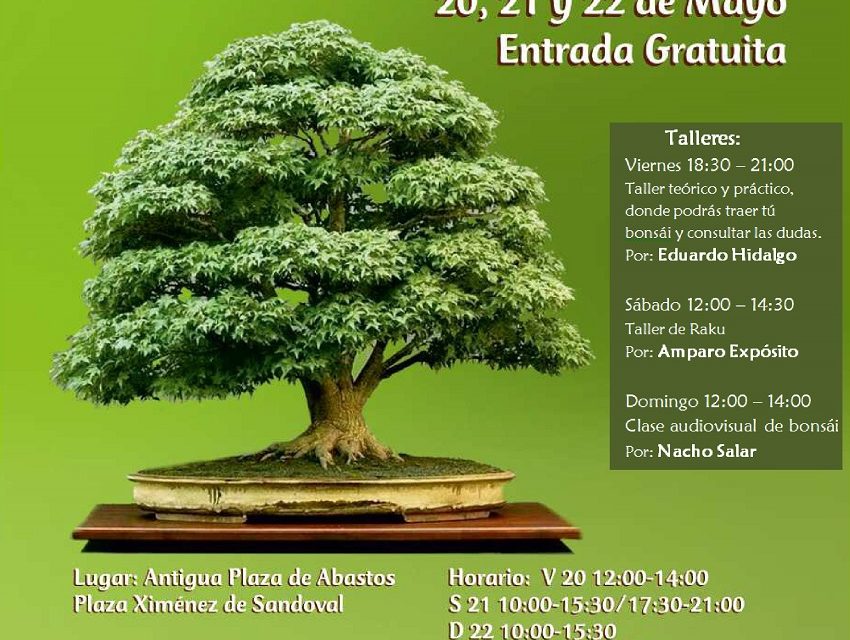 La Plaza de Abastos acoge una exposición de bonsáis este fin de semana