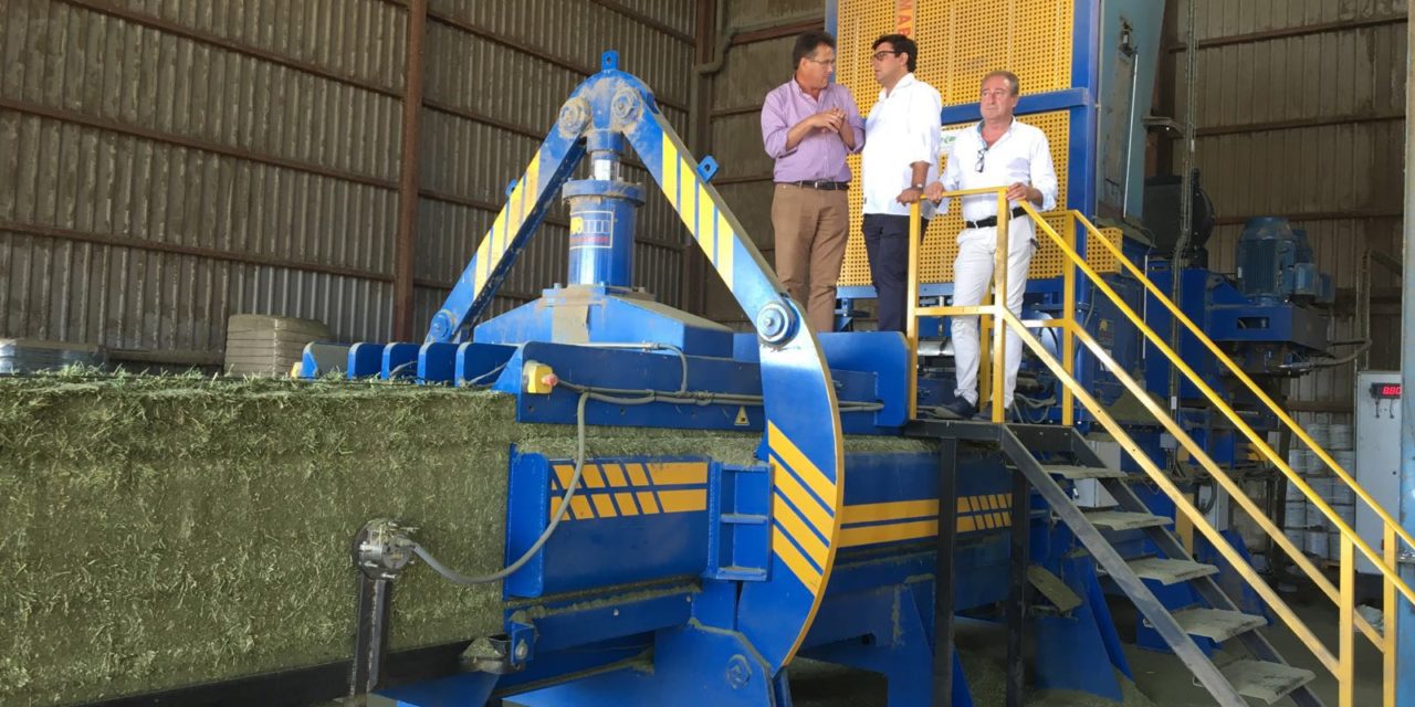 El Alcalde visita las instalaciones de Agroquivir, que exporta un 80% de su producción