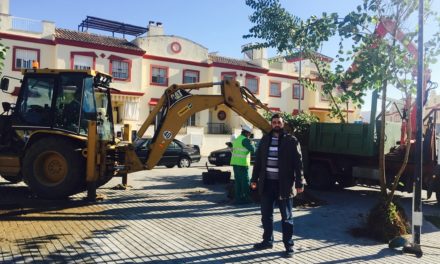 El Ayuntamiento de Utrera va a plantar 1.000 árboles en las próximas semanas