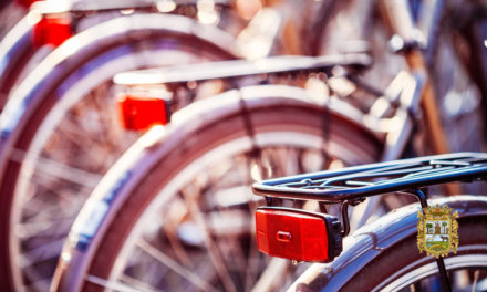 Presentado el cartel de José Luis Pulido Calvo realizado para el XLII Paseo en Bicicleta