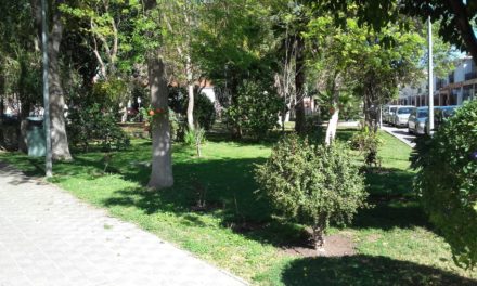 Parques y Jardines ha repartido 43.000 euros a las asociaciones de vecinos para el arreglo y cuidado de sus jardines
