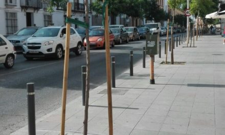 300 árboles plantados por el Ayuntamiento de Utrera en lo que va de 2017