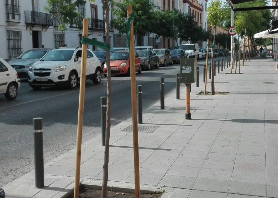 300 árboles plantados por el Ayuntamiento de Utrera en lo que va de 2017