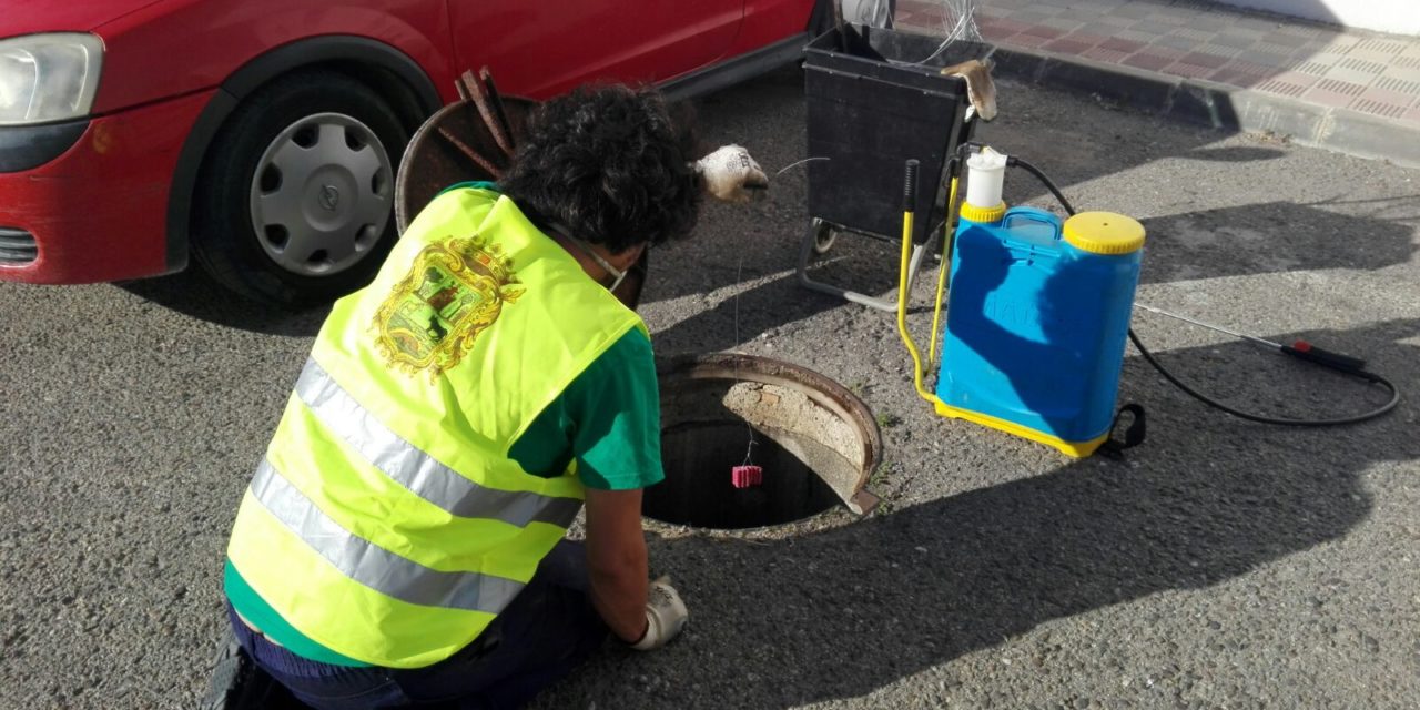 Se estrena un mejorado servicio de control de plagas urbanas