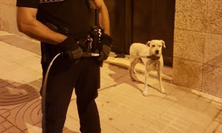 La Policía Local de Utrera denuncia al propietario de un perro por abandonarlo en vacaciones