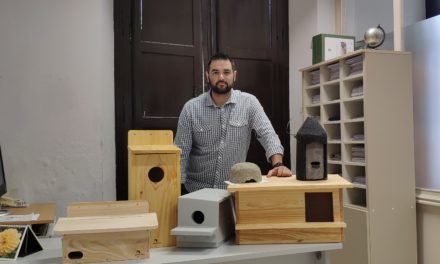 Utrera contará con medio centenar de cajas nido para potenciar las colonias de aves urbanas