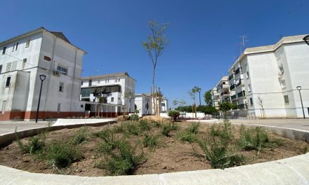 El Ayuntamiento de Utrera lanza un contrato para reforzar el riego durante el verano