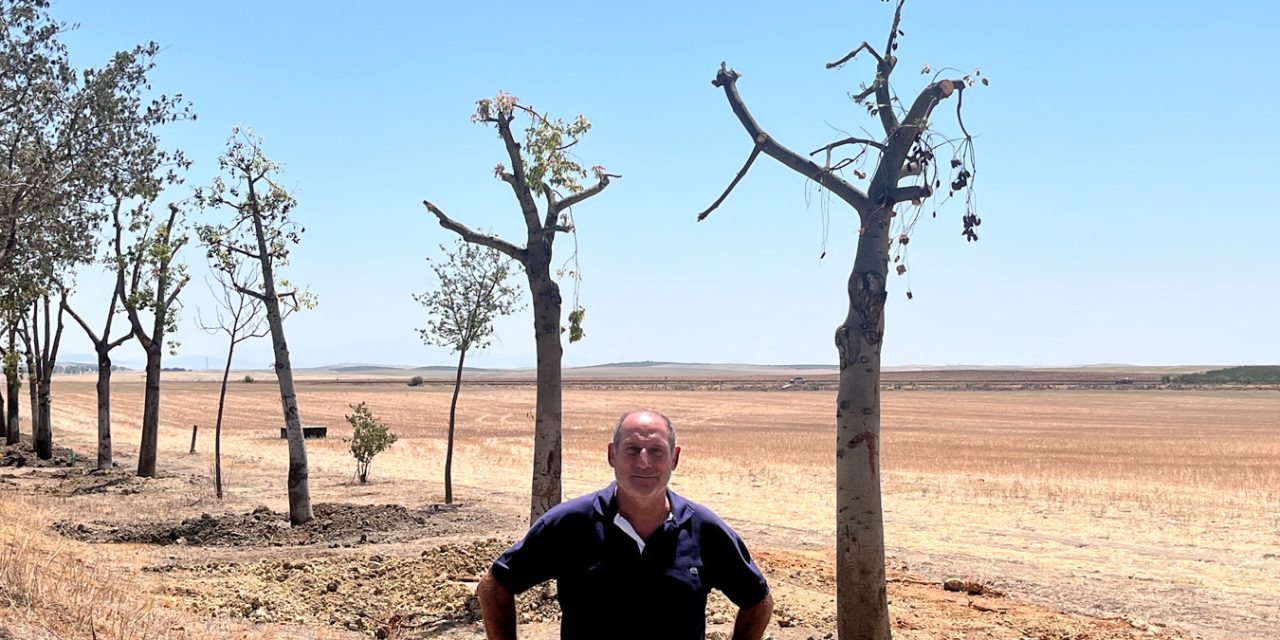 El Ayuntamiento de Utrera avanza con el proyecto de adecuación del acerado del camino del Junquillo, iniciado en el anterior gobierno