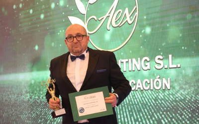 La empresa Deluxe Lightning recibe el premio en la categoría ‘Diseño y Fabricación’ en los Premios Andalucía Excelente 2023