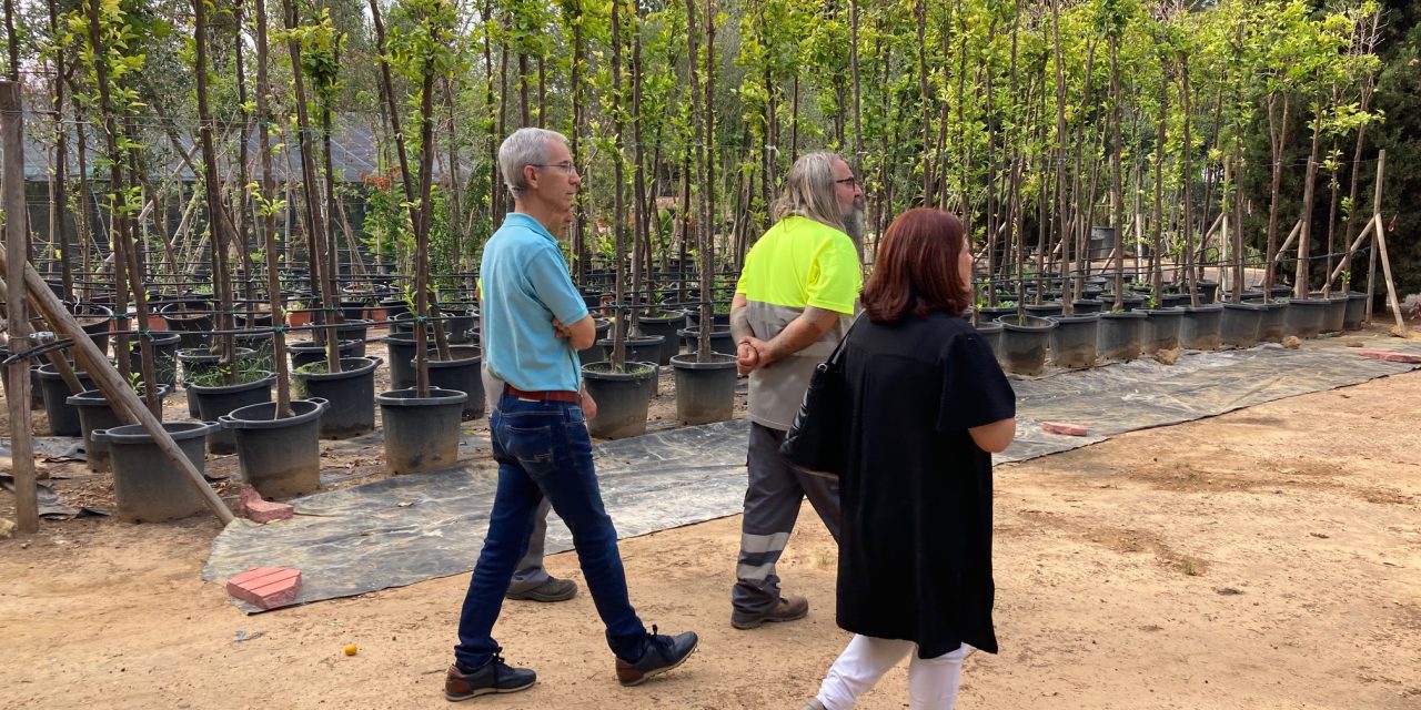 Casi 1.500 plantas y 400 árboles se encuentran en el Vivero Municipal para su plantación y el cuidado entre temporadas