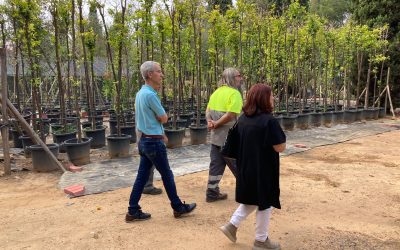 Casi 1.500 plantas y 400 árboles se encuentran en el Vivero Municipal para su plantación y el cuidado entre temporadas