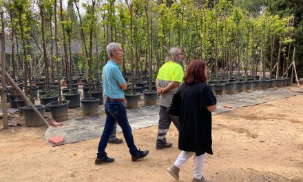 Casi 1.500 plantas y 400 árboles se encuentran en el Vivero Municipal para su plantación y el cuidado entre temporadas