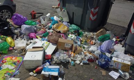 Llamamiento a los ciudadanos para que ayuden a localizar a quienes están vaciando los contenedores y esparciendo las basuras en el Tinte