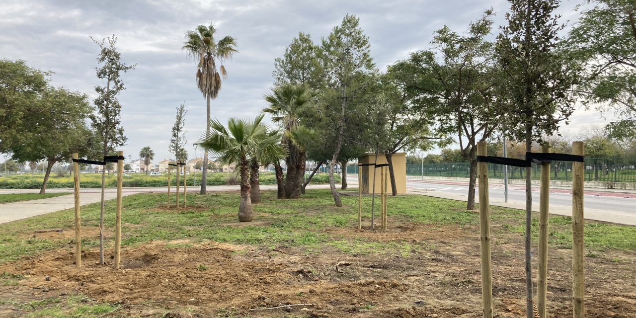 Replantados 229 árboles tras el paso de la tormenta Bernard