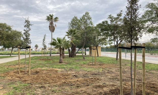 Replantados 229 árboles tras el paso de la tormenta Bernard