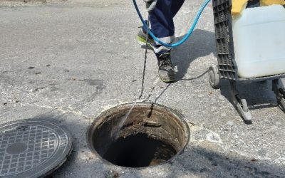 Sanidad ya ha iniciado la campaña de choque contra las cucarachas, que llegará a todas las zonas de Utrera y pedanías. T