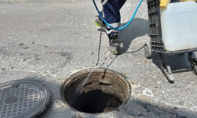 Sanidad ya ha iniciado la campaña de choque contra las cucarachas, que llegará a todas las zonas de Utrera y pedanías. T