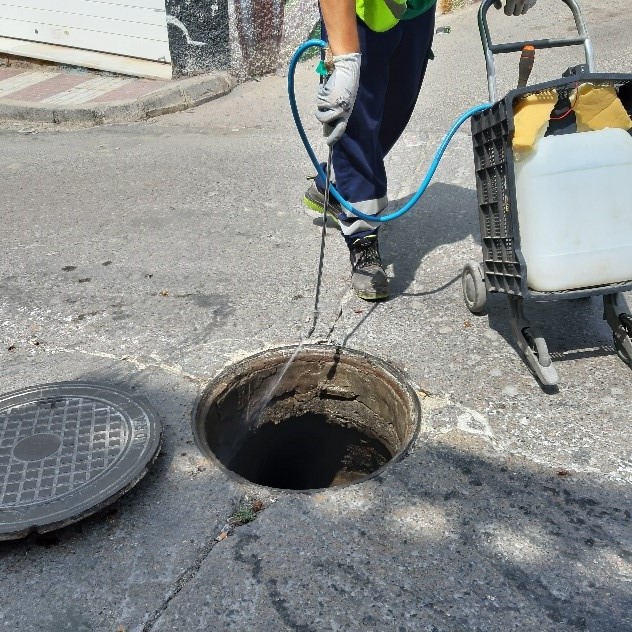 Sanidad ya ha iniciado la campaña de choque contra las cucarachas, que llegará a todas las zonas de Utrera y pedanías. T