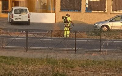 Comienzan en Utrera los trabajos de limpieza y desbroce de carreteras, cunetas y rotondas de titularidad de la Junta