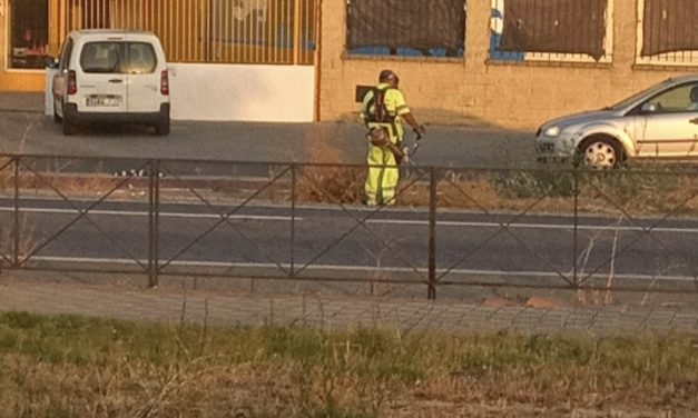 Comienzan en Utrera los trabajos de limpieza y desbroce de carreteras, cunetas y rotondas de titularidad de la Junta