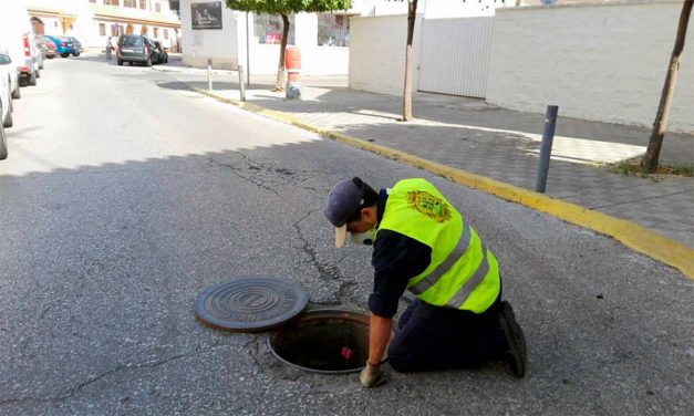 Sanidad ha realizado 245 campañas extraordinarias contra la proliferación de ratas en los últimos cuatro meses