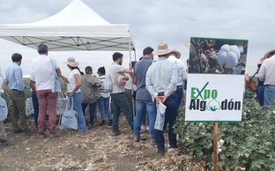 Trajano ha acogido Expoalgodón XI, un encuentro destacado para agricultores y profesionales del sector
