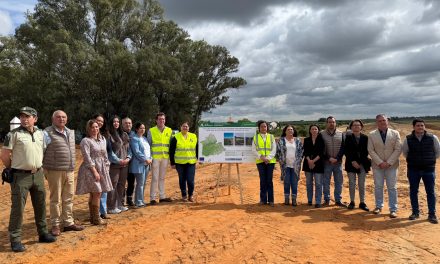 La Junta de Andalucía acomete mejoras en 6 km de la Cañada Real del Pajarero (Utrera)