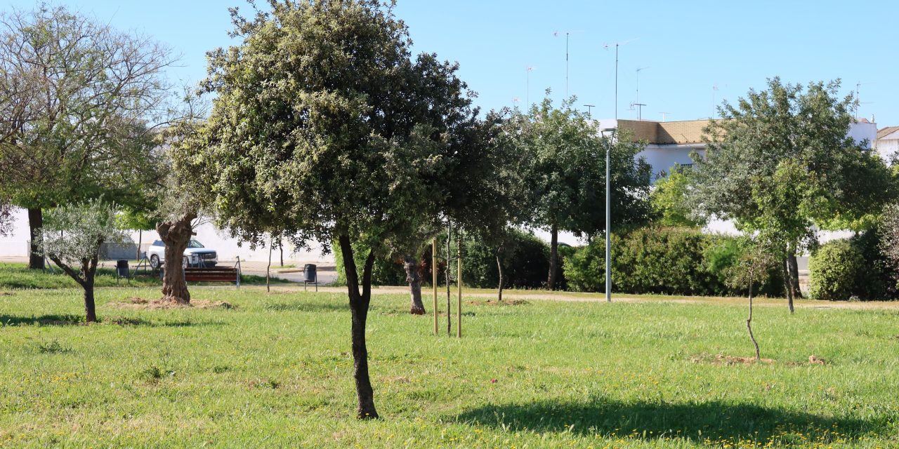 Aprobado el nuevo contrato de servicios para el cuidado de parques, jardines y zonas verdes con un presupuesto de casi cuatro millones de euros