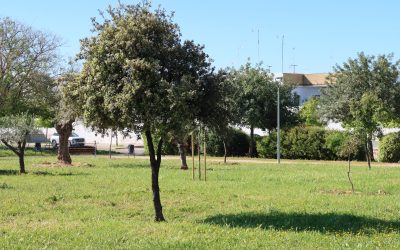 Aprobado el nuevo contrato de servicios para el cuidado de parques, jardines y zonas verdes con un presupuesto de casi cuatro millones de euros