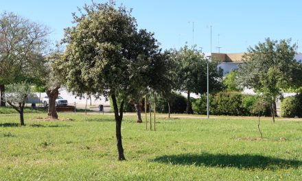 Aprobado el nuevo contrato de servicios para el cuidado de parques, jardines y zonas verdes con un presupuesto de casi cuatro millones de euros