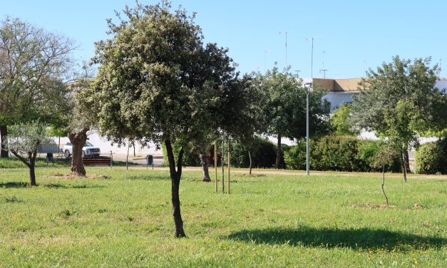Aprobado el nuevo contrato de servicios para el cuidado de parques, jardines y zonas verdes con un presupuesto de casi cuatro millones de euros