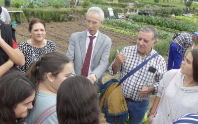 Este jueves, Día Mundial del Medio Ambiente, se repartirán hortalizas ecológicas en los Huertos Sociales