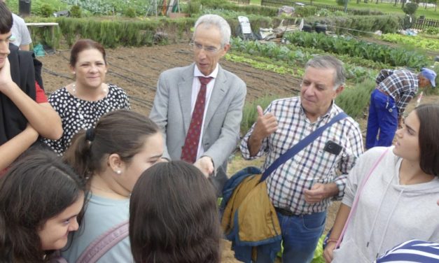 Este jueves, Día Mundial del Medio Ambiente, se repartirán hortalizas ecológicas en los Huertos Sociales