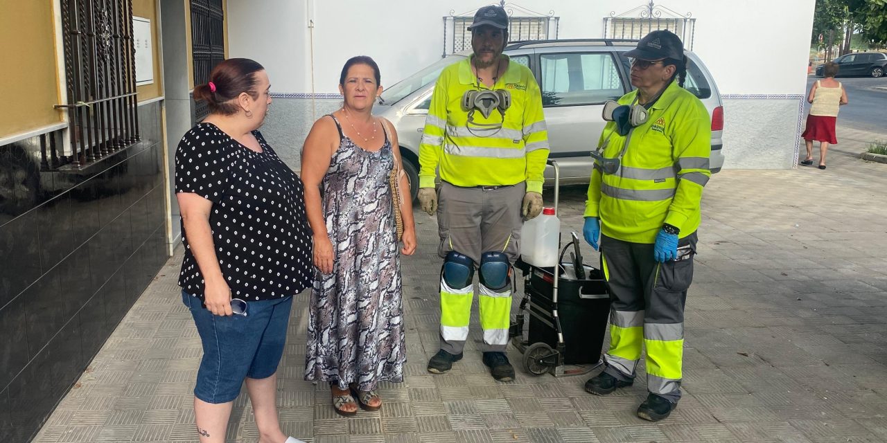 Plan de choque contra roedores. La delegada de Sanidad se reúne con la fábrica de piensos, que tomará medidas