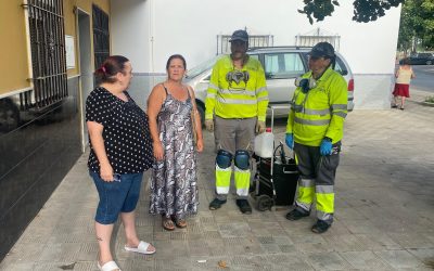 Plan de choque contra roedores. La delegada de Sanidad se reúne con la fábrica de piensos, que tomará medidas