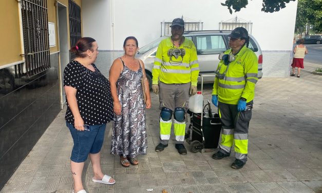 Plan de choque contra roedores. La delegada de Sanidad se reúne con la fábrica de piensos, que tomará medidas