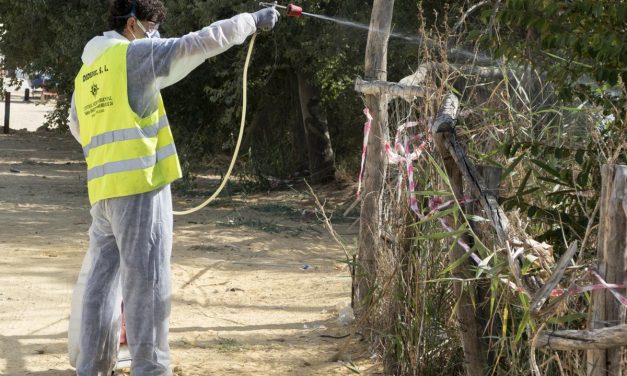 El Ayuntamiento intensifica los tratamientos contra el mosquito del Nilo con nuevas actuaciones esta semana
