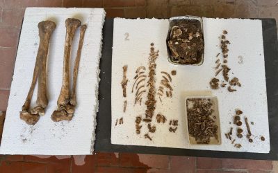 Avanzan los trabajos en la antigua Sinagoga de Utrera con relevantes hallazgos en la búsqueda de la mikvé