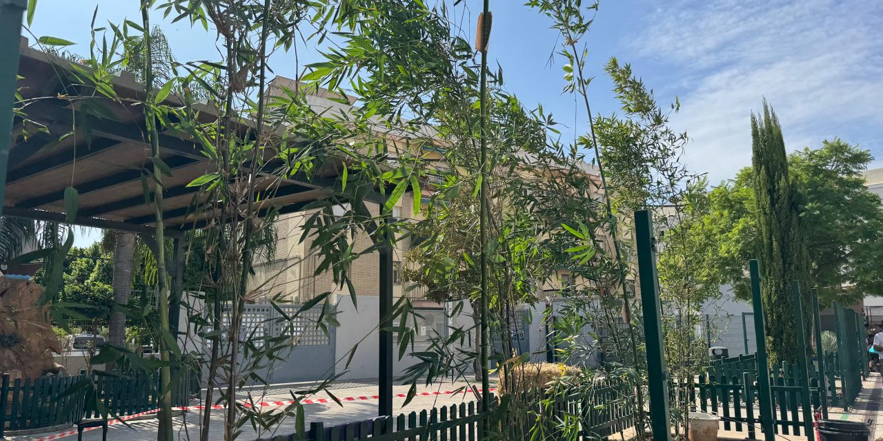 El CEIP Álvarez Quintero incorpora bambúes en su patio para generar sombra natural