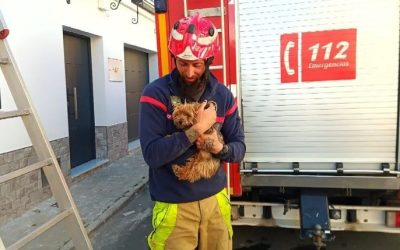 Los Bomberos de Utrera realizaron 105 intervenciones en septiembre, la mayoría no para “apagar fuegos”