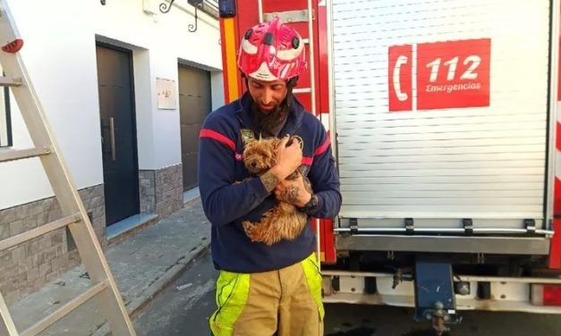 Los Bomberos de Utrera realizaron 105 intervenciones en septiembre, la mayoría no para “apagar fuegos”