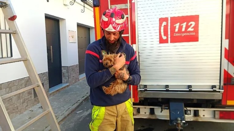Los Bomberos de Utrera realizaron 105 intervenciones en septiembre, la mayoría no para “apagar fuegos”