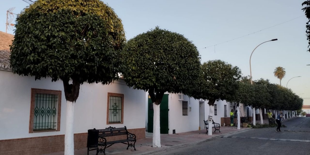 Parques y Jardines continúa trabajando en las zonas verdes de todas las barriadas de Utrera