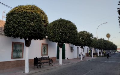Parques y Jardines continúa trabajando en las zonas verdes de todas las barriadas de Utrera