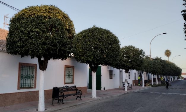 Parques y Jardines continúa trabajando en las zonas verdes de todas las barriadas de Utrera