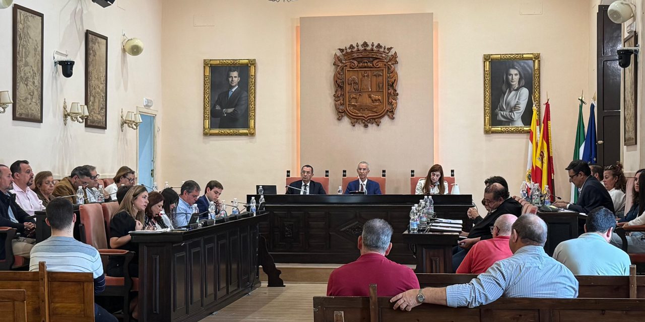 Aprobada en Pleno la creación de la Unidad Aceleradora de Proyectos