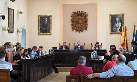 Aprobada en Pleno la creación de la Unidad Aceleradora de Proyectos