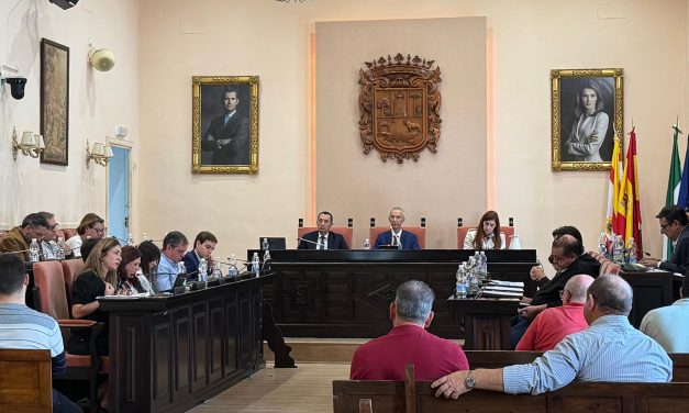 Aprobada en Pleno la creación de la Unidad Aceleradora de Proyectos