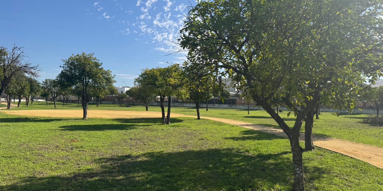 Parques y Jardines realiza unas 3.000 plantaciones y espera que en breve esté el contrato de Mantenimiento
