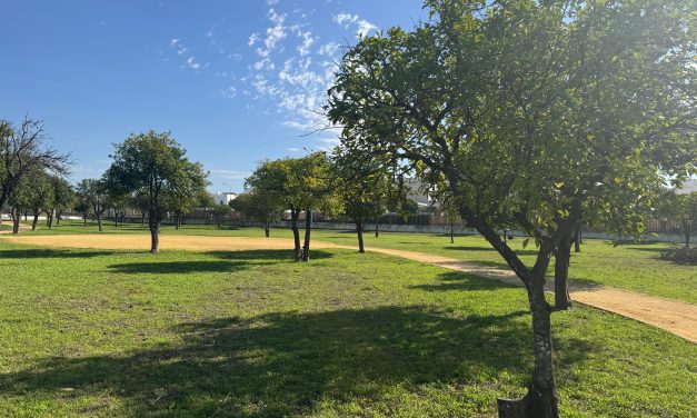 Parques y Jardines realiza unas 3.000 plantaciones y espera que en breve esté el contrato de Mantenimiento